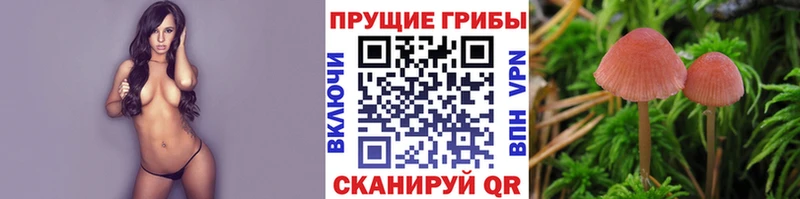 KRAKEN маркетплейс  Лениногорск  Псилоцибиновые грибы прущие грибы  хочу  